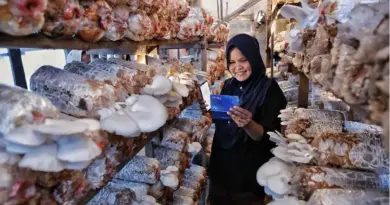 Indeks Bisnis UMKM BRI Triwulan II 2026: Ketahanan UMKM Terjaga, Ditopang Optimisme Prospek Usaha