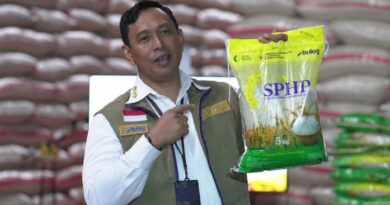 Bulog Optimalkan 2 Instrumen Utama Pemerintah soal Beras, Stabilisasi Harga dan Pasokan