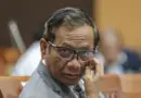 Komentar Mahfud MD soal Pakar Goblok: Seperti Halnya Presiden, Juga Banyak yang Goblok