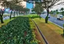 Terinspirasi Jepang, Begini Cara PIK2 Bangun Kawasan Hijau Berkelanjutan