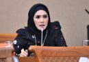 Feri Amsari Bongkar Jejak Karier Mulan Jameela, Singgung Pemecatan Caleg Terpilih oleh Gerindra