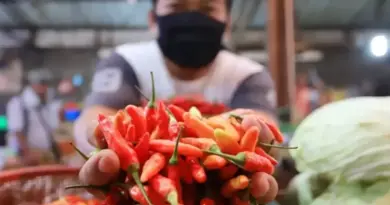 Harga Cabai Rawit Merah Rp105.750 per Kg, Ini Daftar Harga Pangan Nasional