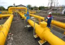 Analisis Dosen IPB: Pemangkasan Pasokan Gas ke Singapura Berpotensi Jadi Diversionary Policy di Tengah Gelombang Protes