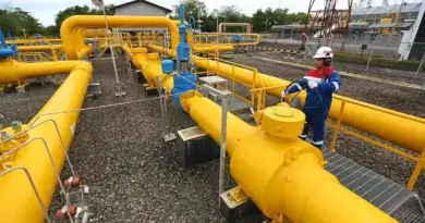 Analisis Dosen IPB: Pemangkasan Pasokan Gas ke Singapura Berpotensi Jadi Diversionary Policy di Tengah Gelombang Protes
